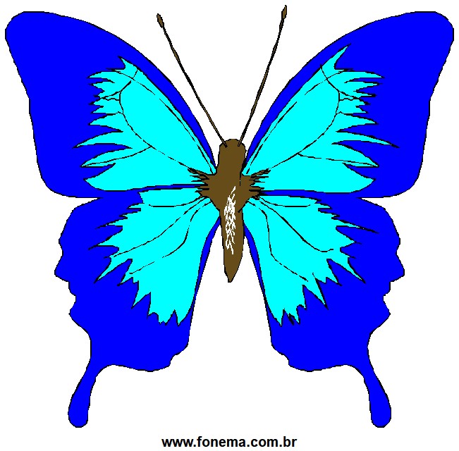 Borboleta Azul