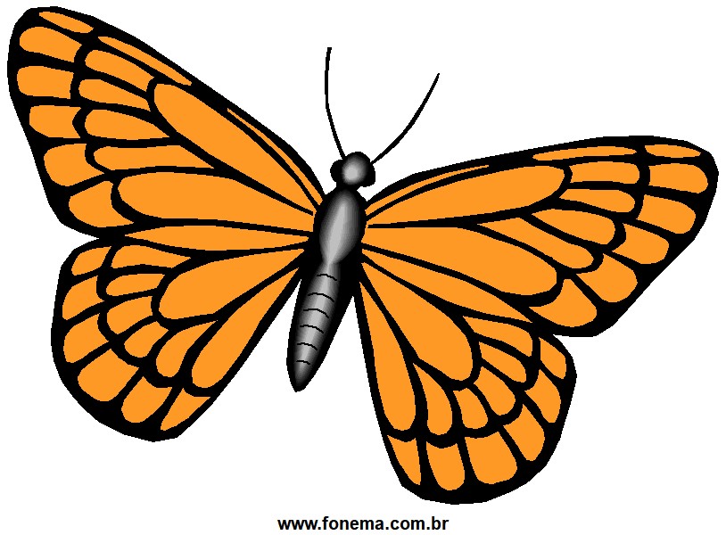 Borboleta Laranja