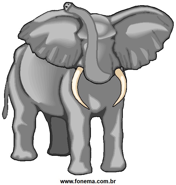 Elefante