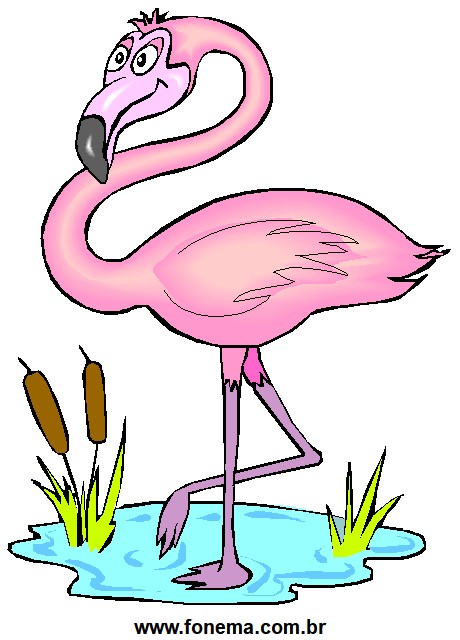 Flamingo