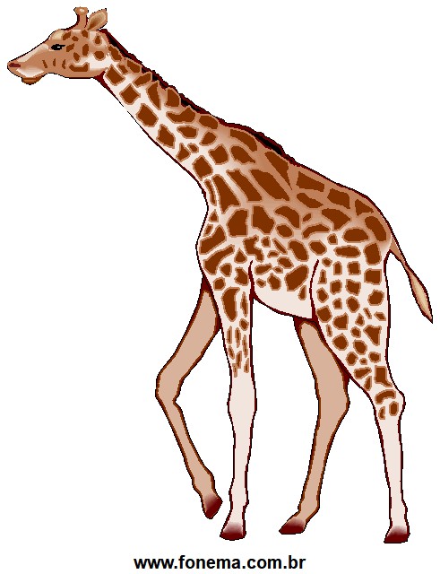 Girafa