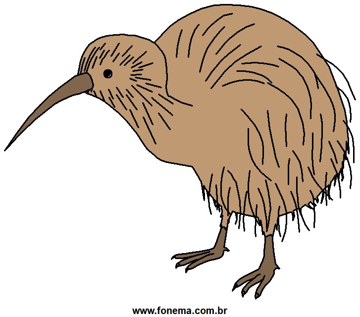 Kiwi