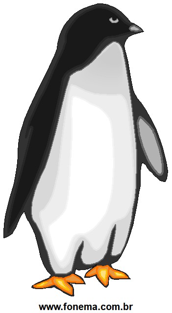 Pinguim