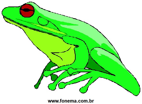 Sapo Verde