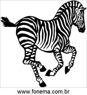 Imagem de Zebra Para Alfabetização